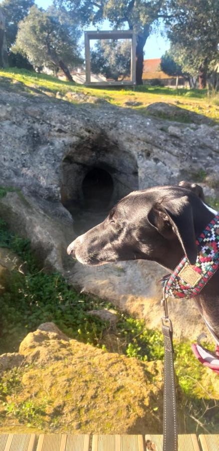 Patio Da Memoria ξενώνας Palmela Εξωτερικό φωτογραφία