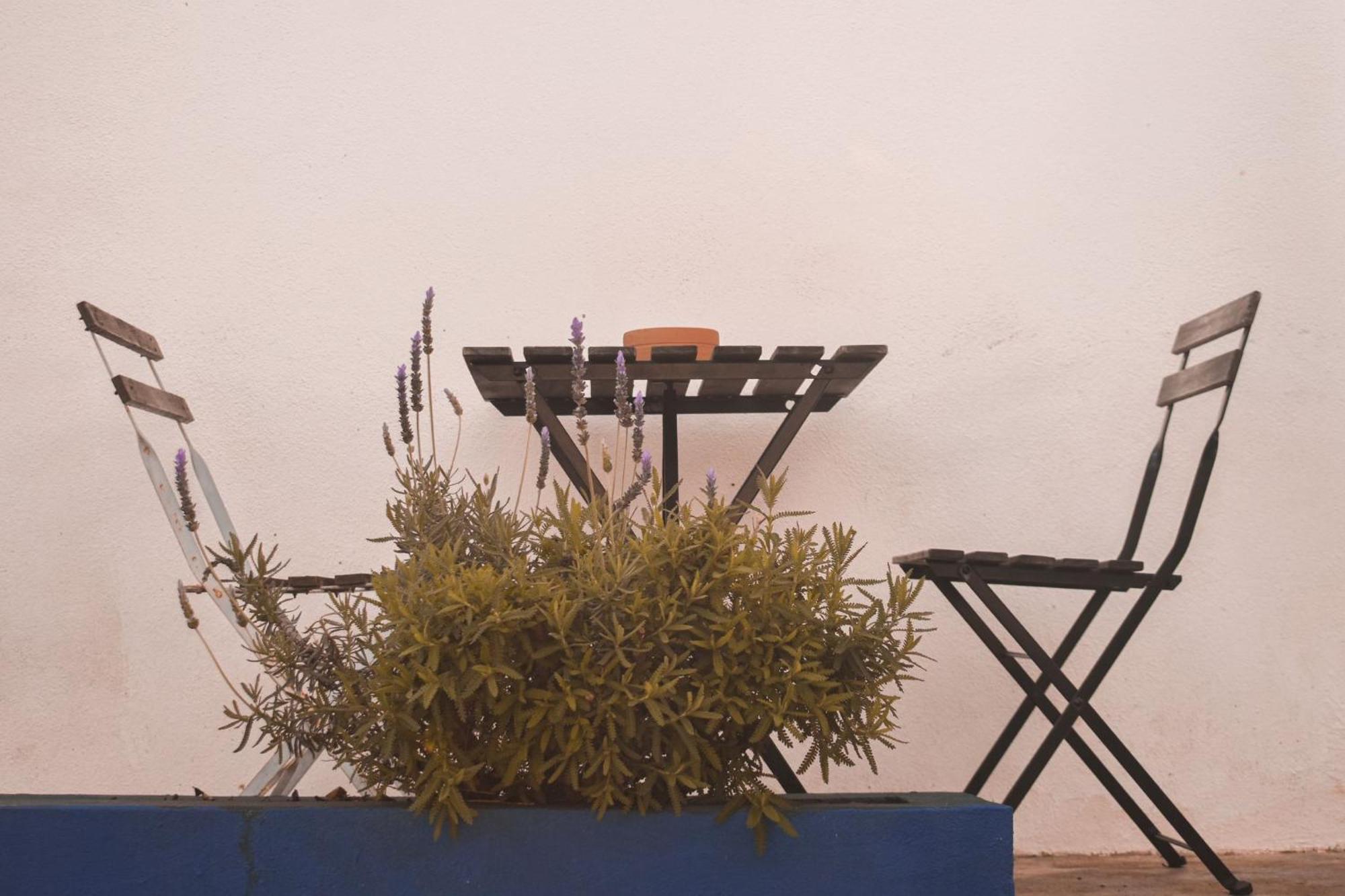 Patio Da Memoria ξενώνας Palmela Δωμάτιο φωτογραφία
